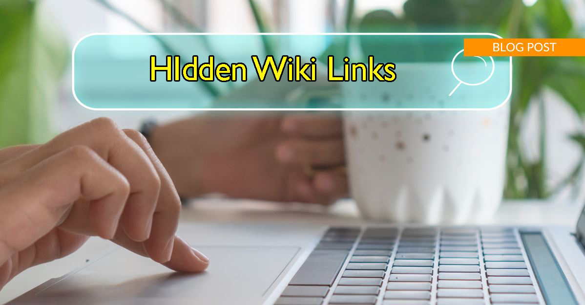 You are currently viewing Top Rated Hidden Wiki Links – Most Visiting Sites In 2024